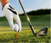 Golf Tournament